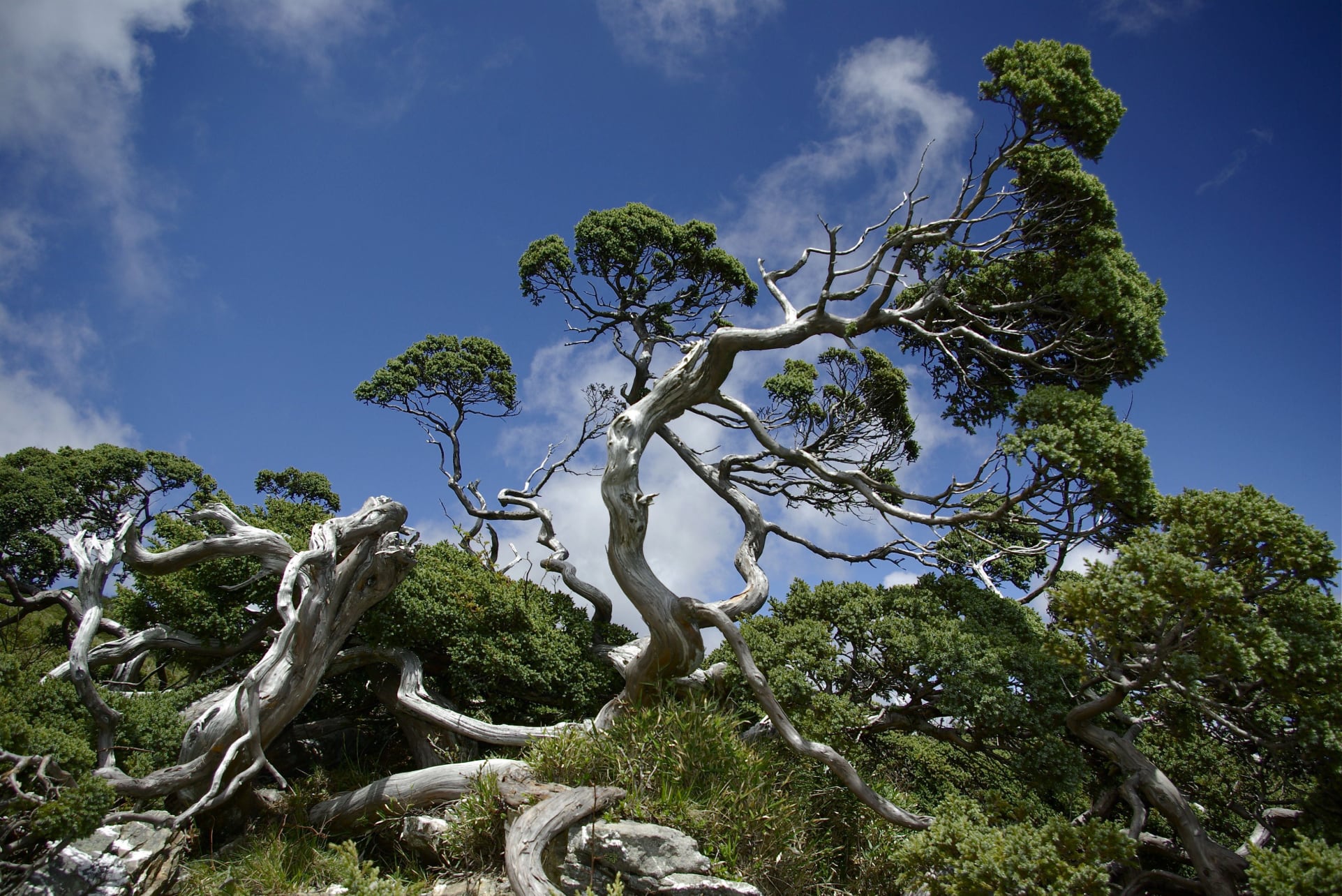 Central Mountain Range Photo