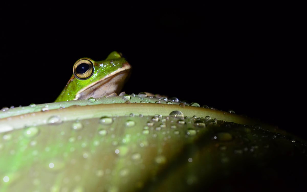 Rich biodiversity photo