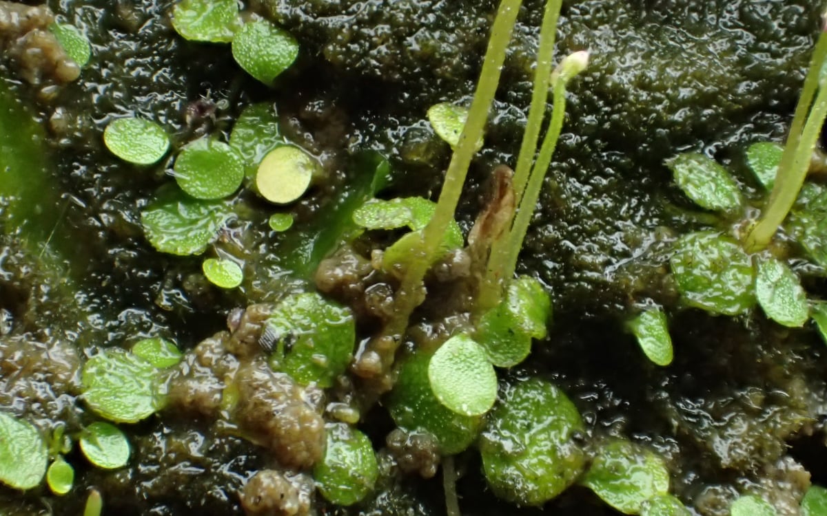 Rich biodiversity photo