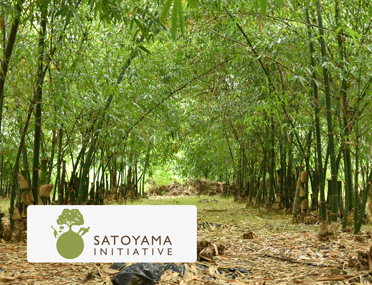 satoyamainitiative