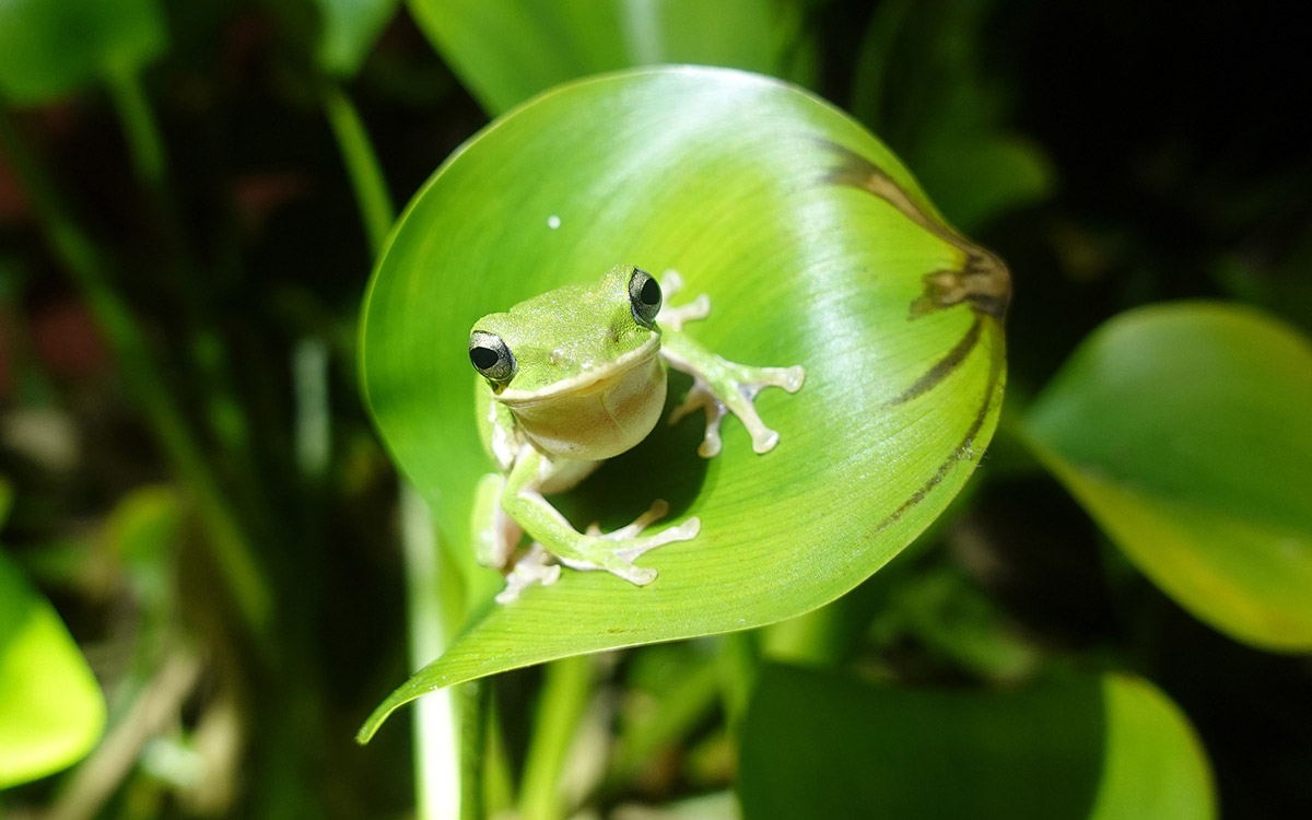Rich biodiversity photo