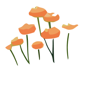 主題插圖
